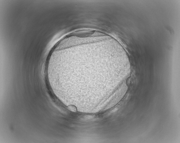 X0000114400151200911271523