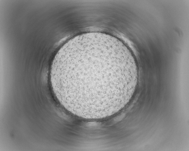 X0000114400153200911271523