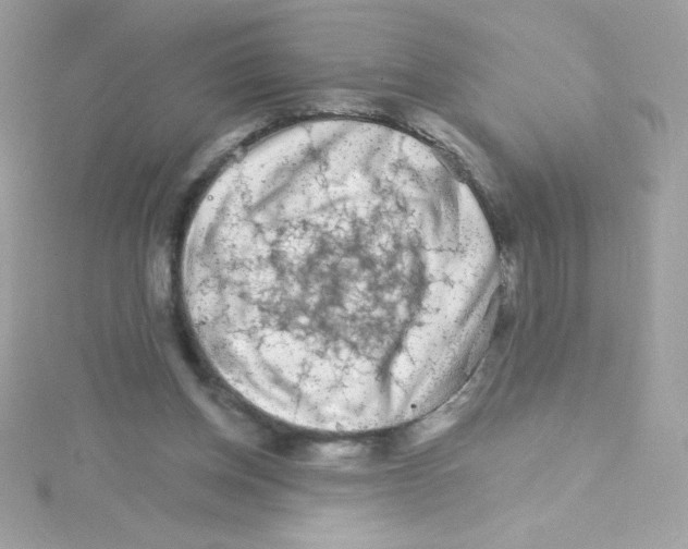 X0000114400158200911271523