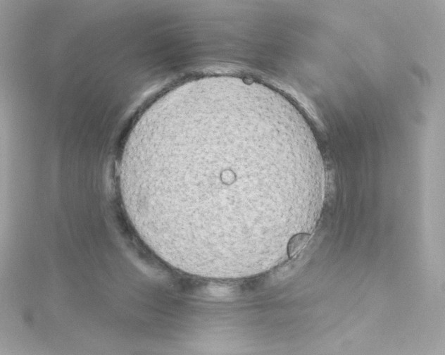 X0000114400159200911271523