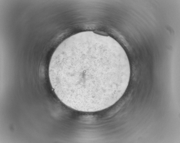 X0000114400161200911271523