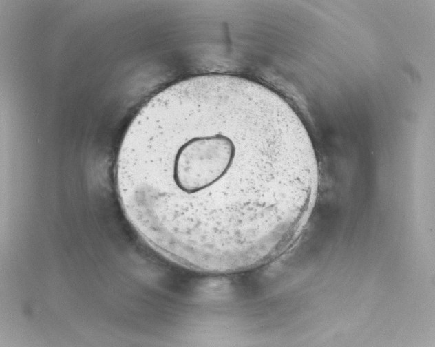 X0000114400162200911271523