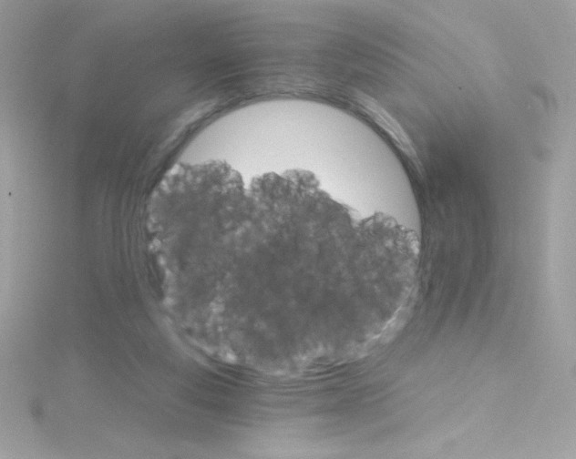 X0000114400163200911271523