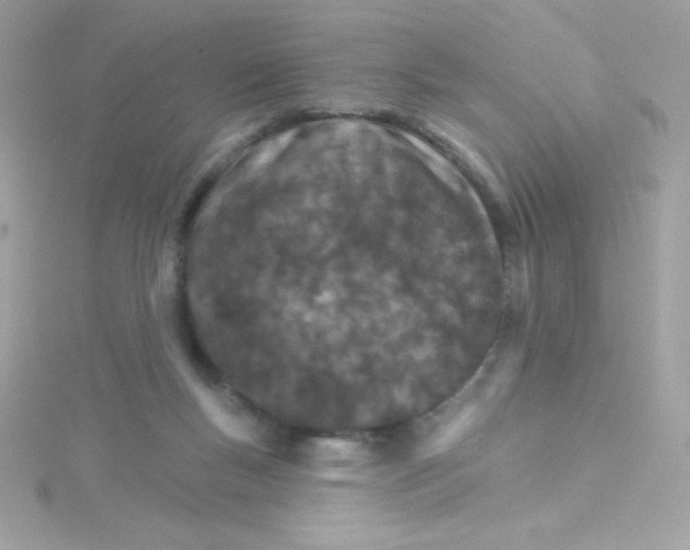 X0000114400167200911271523