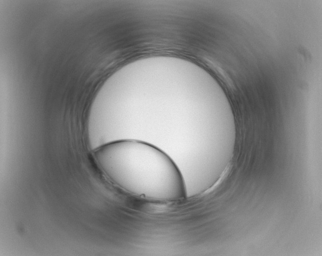 X0000114400170200911271523