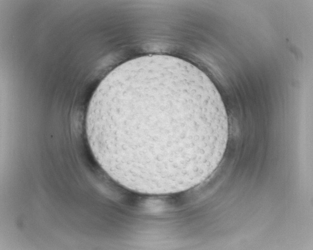 X0000114400171200911271523