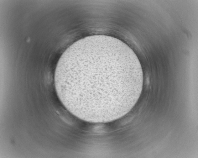 X0000114400173200911271523