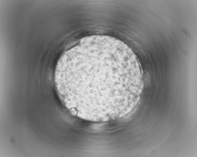 X0000114400178200911271524