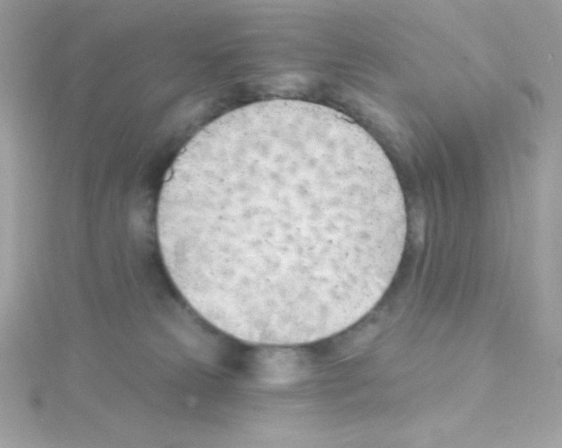 X0000114400181200911271524