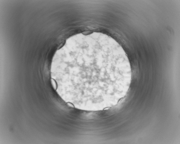 X0000114400186200911271524