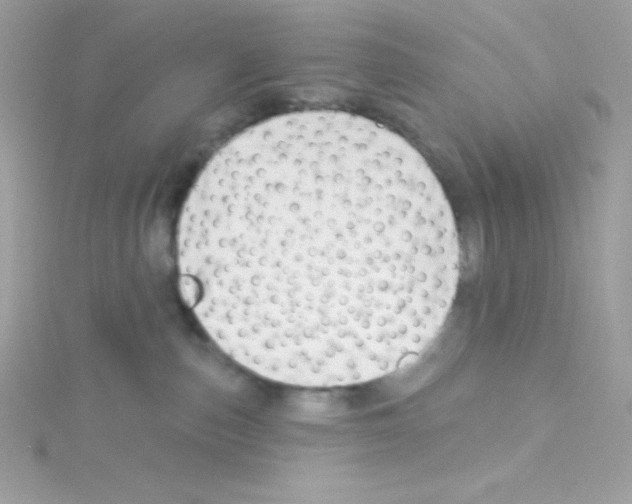 X0000114400187200911271524