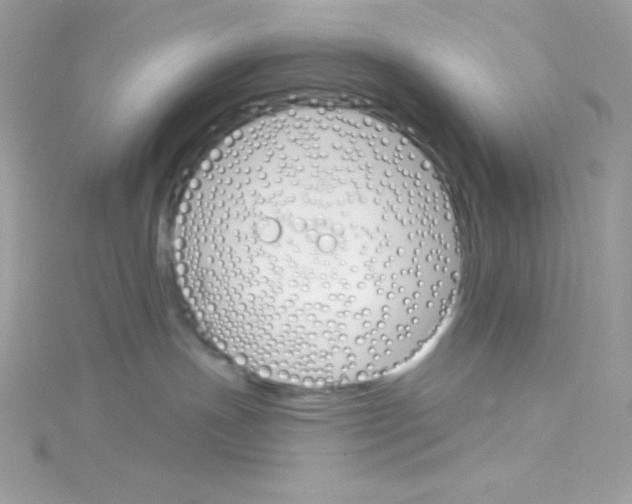 X0000114400191200911271524