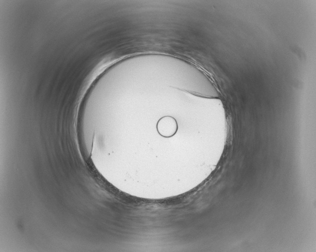 X0000114400195200911271523