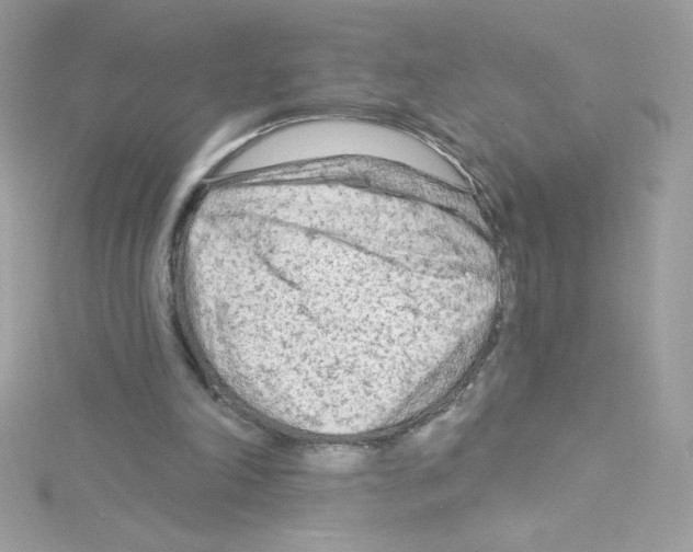 X0000114400198200911271523