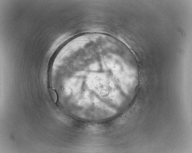 X0000114400199200911271523