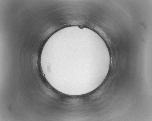 X0000114400201200911271523