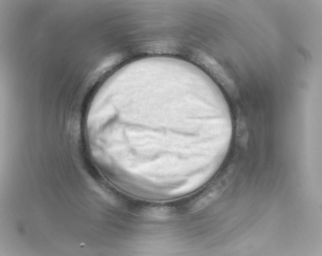 X0000114400202200911271523