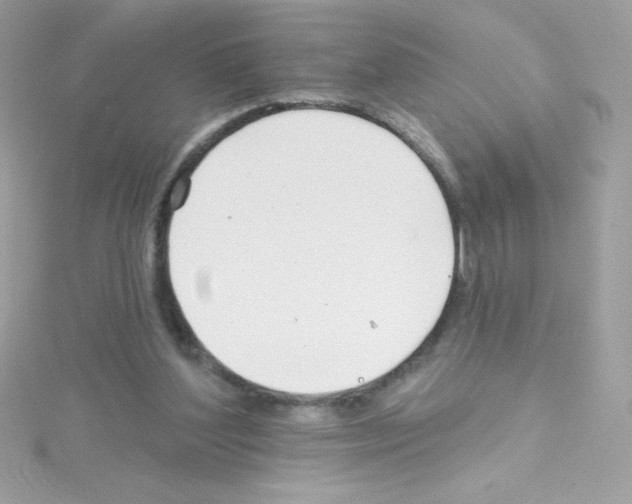 X0000114400204200911271523