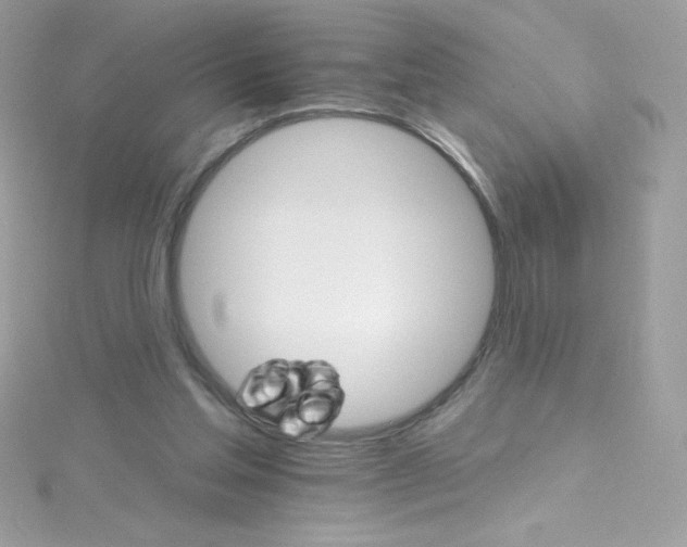 X0000114400205200911271523