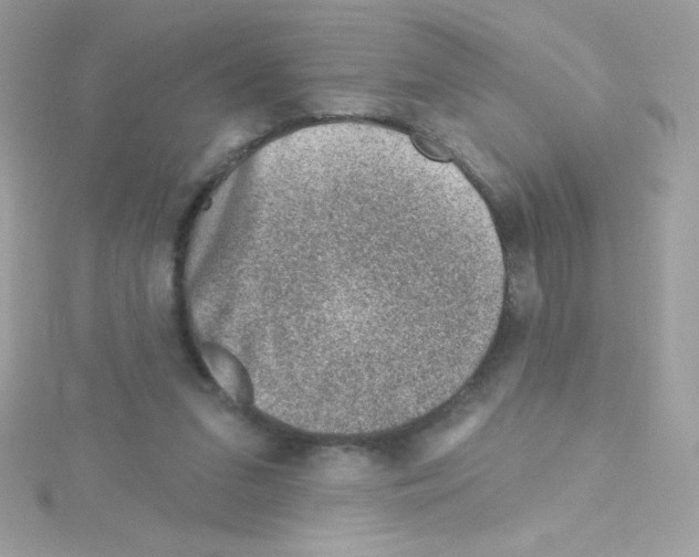 X0000114400207200911271523