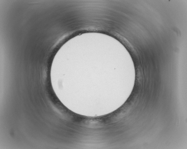 X0000114400208200911271523