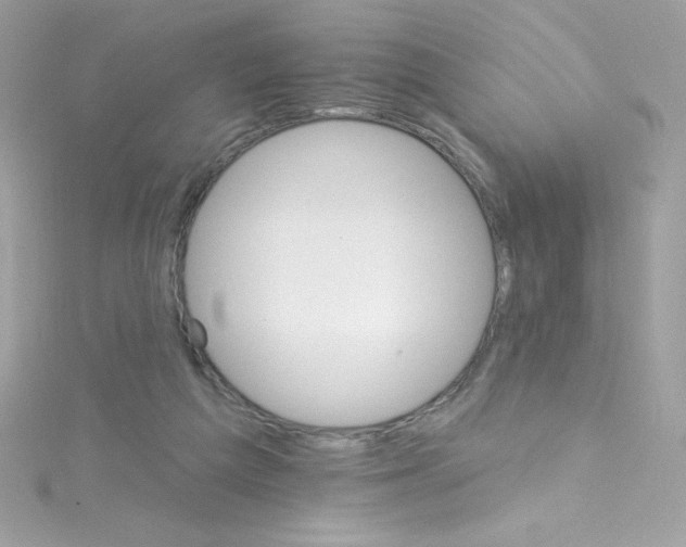 X0000114400209200911271523