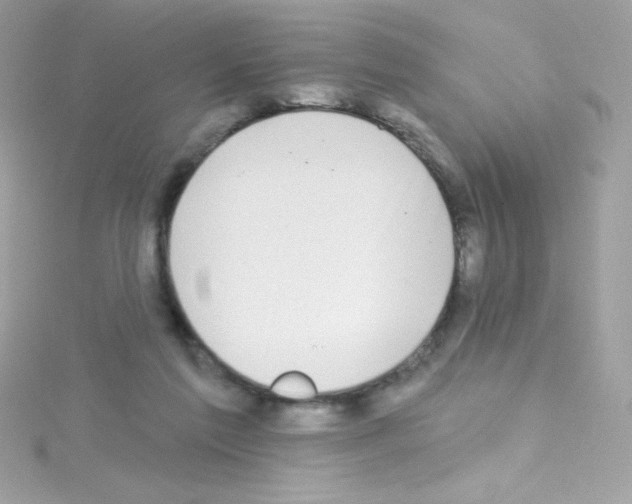 X0000114400213200911271523