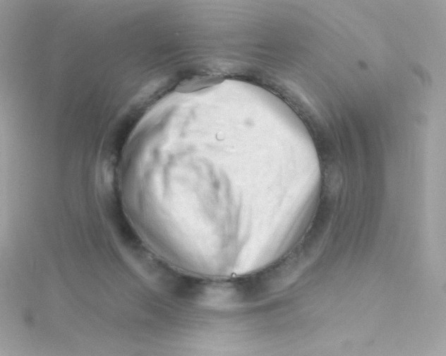 X0000114400214200911271523