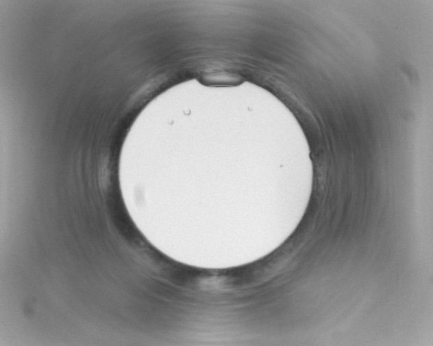 X0000114400216200911271523