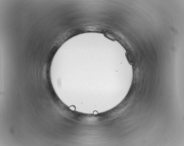 X0000114400217200911271523