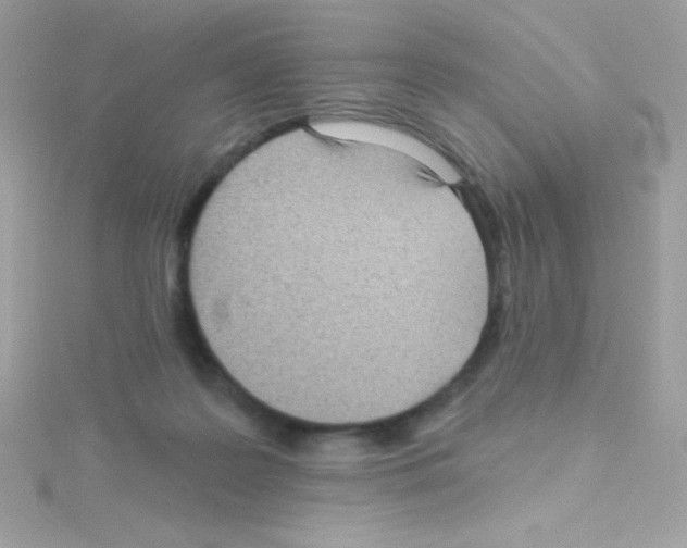 X0000114400219200911271523