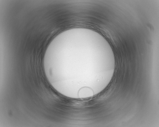 X0000114400220200911271523