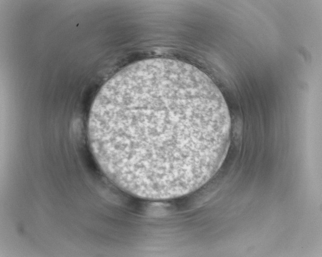 X0000114400222200911271523