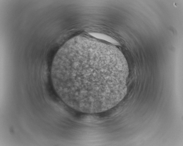 X0000114400223200911271523