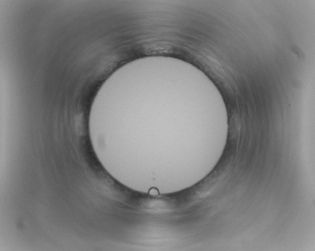 X0000114400224200911271523