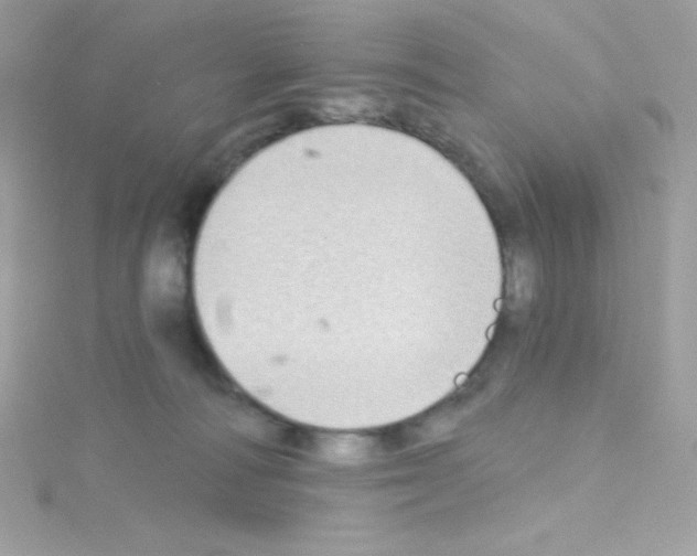 X0000114400226200911271523