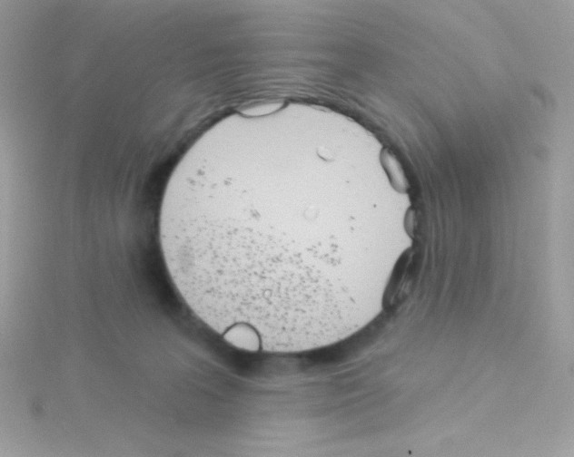 X0000114400227200911271523