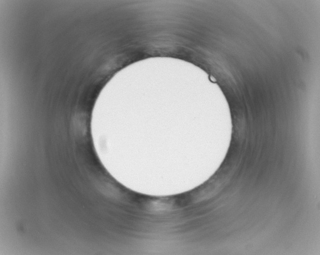 X0000114400232200911271523