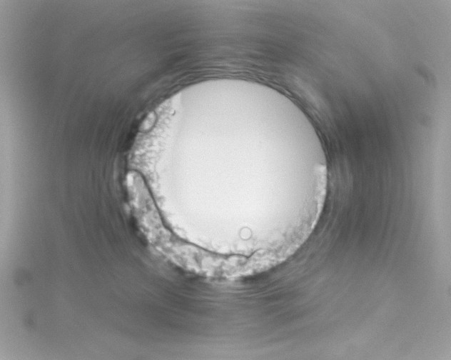 X0000114400233200911271523