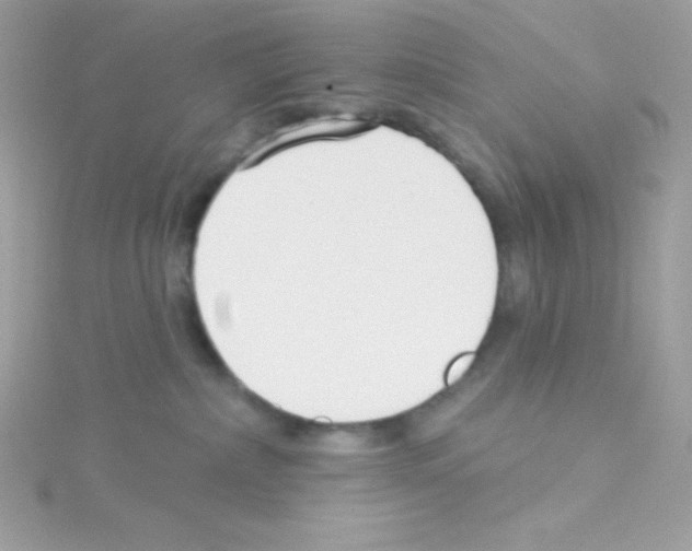 X0000114400236200911271523