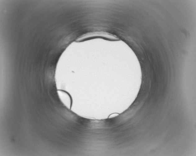 X0000114400240200911271523