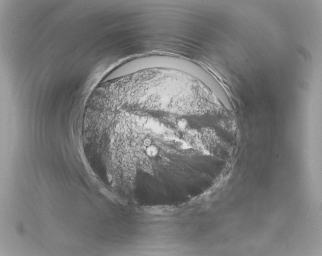 X0000114400241200911271522