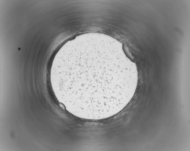 X0000114400242200911271522