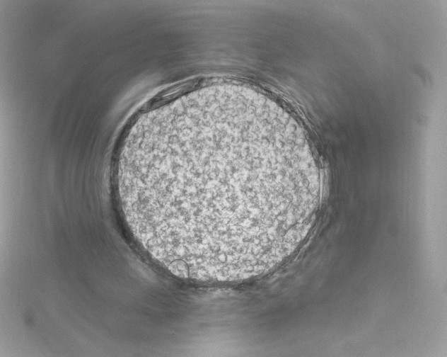 X0000114400243200911271522