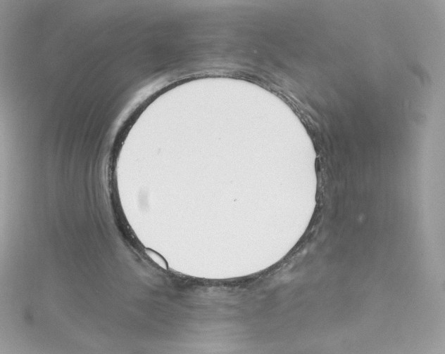 X0000114400244200911271522