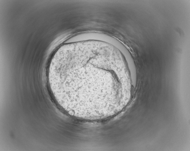 X0000114400245200911271522