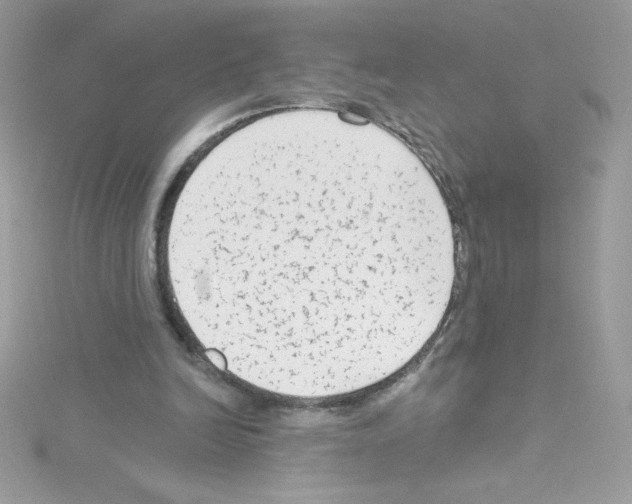 X0000114400246200911271522