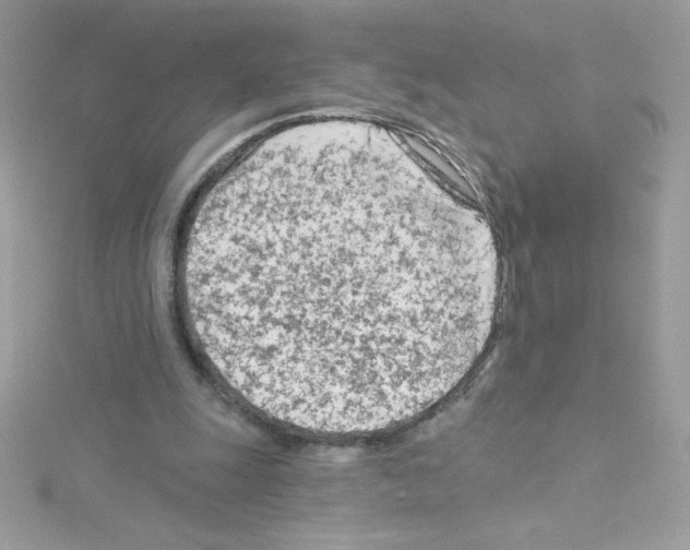 X0000114400247200911271522