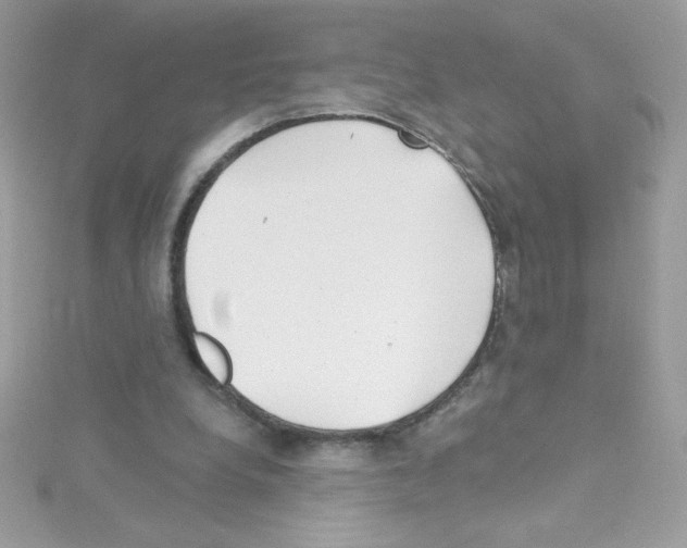 X0000114400248200911271522