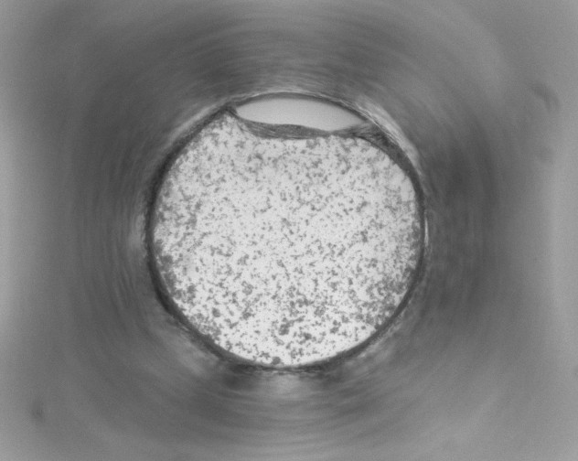 X0000114400249200911271522